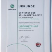 dfb-urkunde_2021