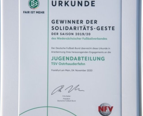 dfb-urkunde_2021