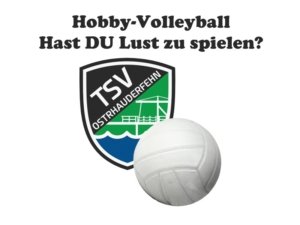 hobby-volleyball