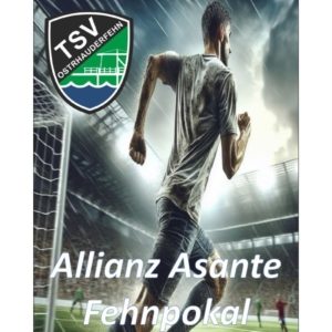 stadionheft-fehnpokal-2024