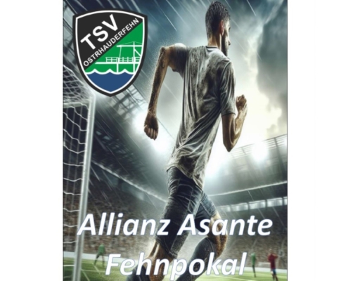 stadionheft-fehnpokal2024